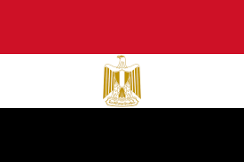 NetSuite Partner in Egypt