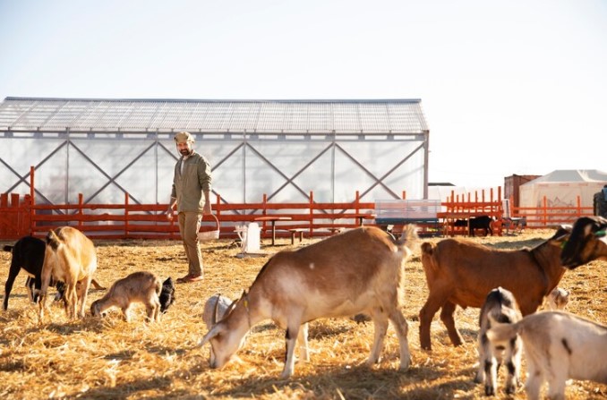 NetSuite for Cattle and Livestock: A Comprehensive Management Solution 1